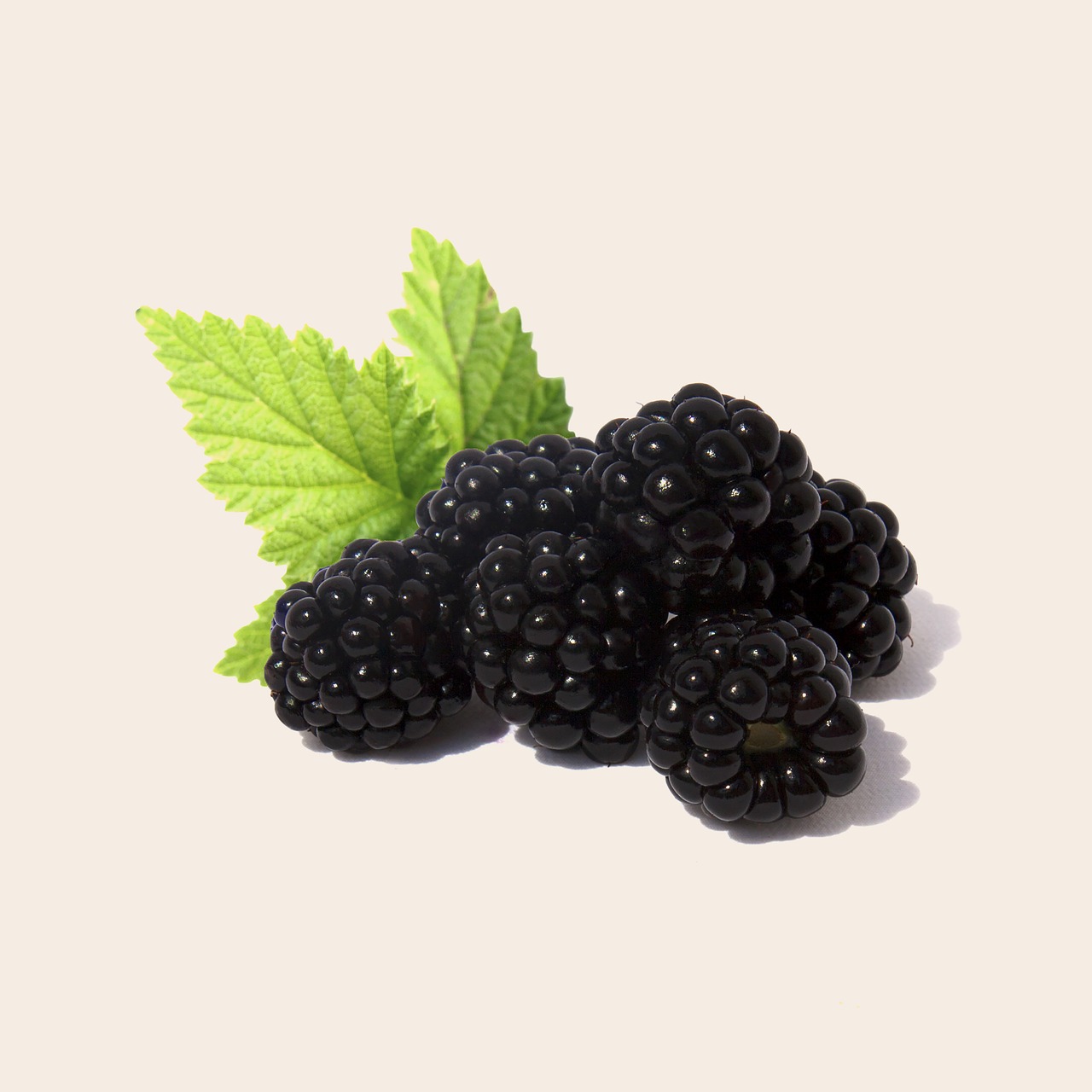 Image - blackberry fruit health