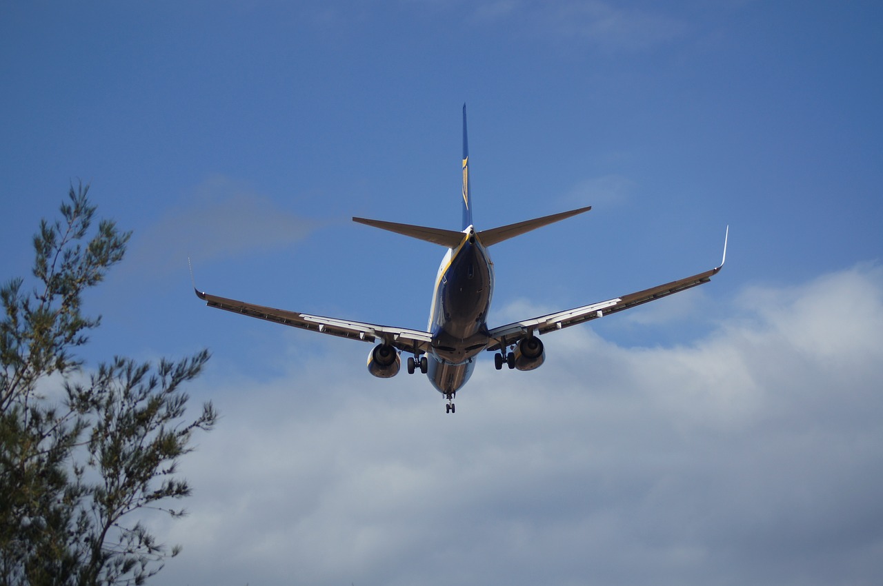 Image - airport the palmas of great