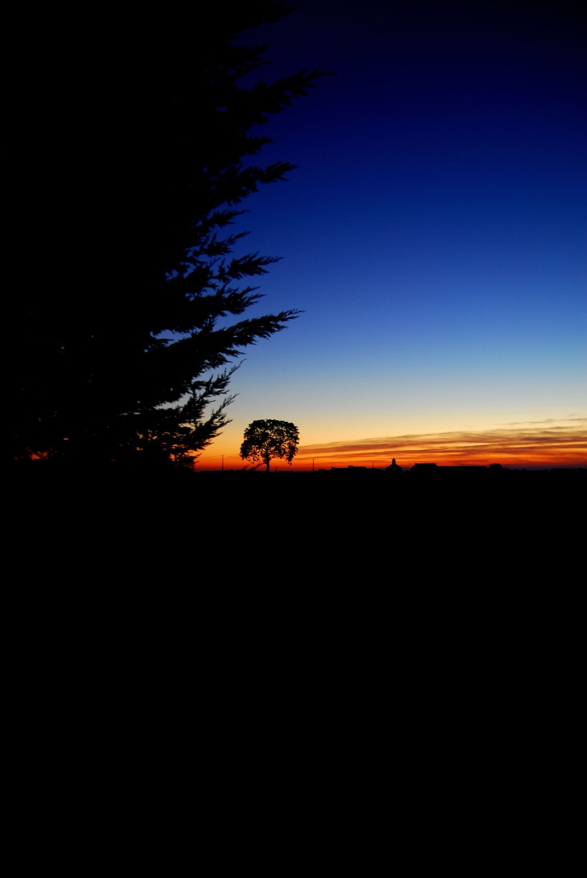 Image - sunset night field twilight nature