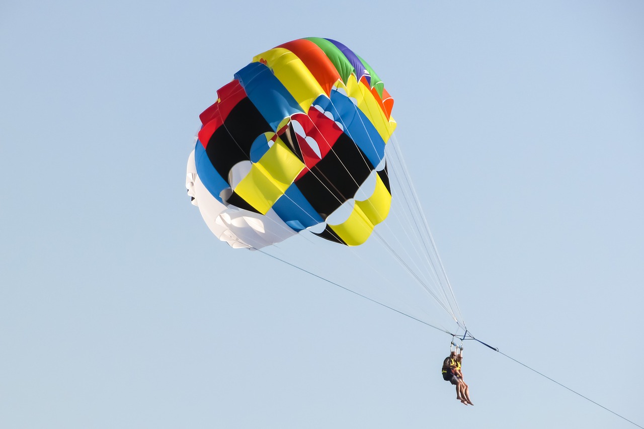 Image - parachute paragliding cat and mouse