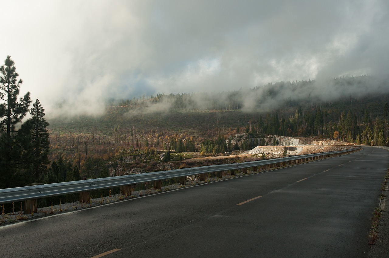 Image - road light weather rain landscape