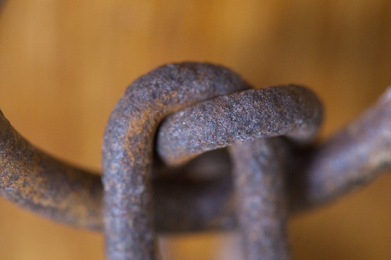 Image - daniel rusty nobody macro old