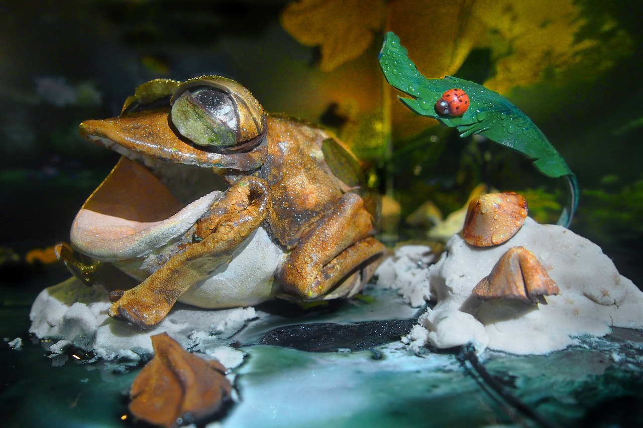 Image - leather frog toys