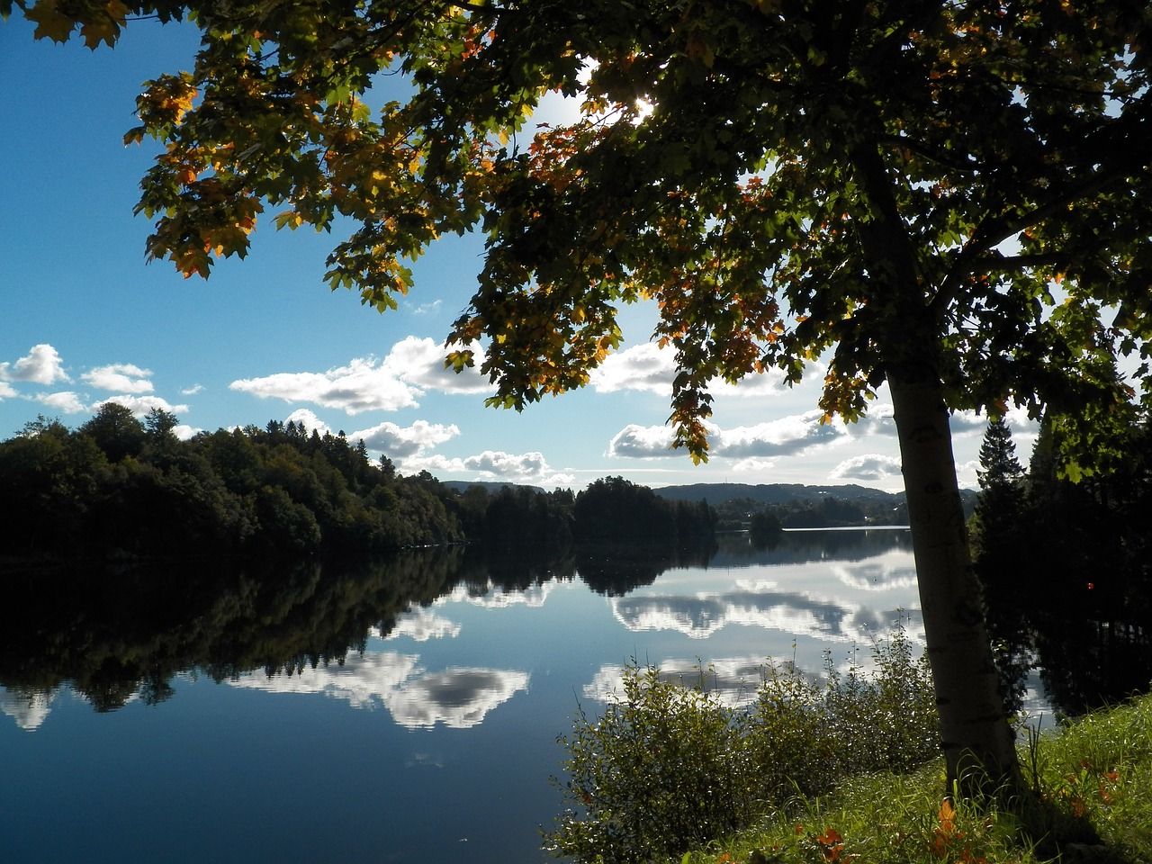 Image - spring bergen lake trees norway