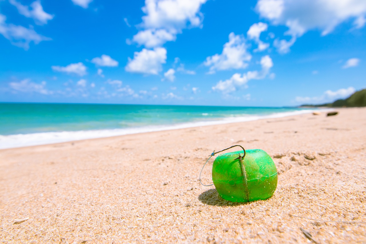 Image - bait ball andaman sea background