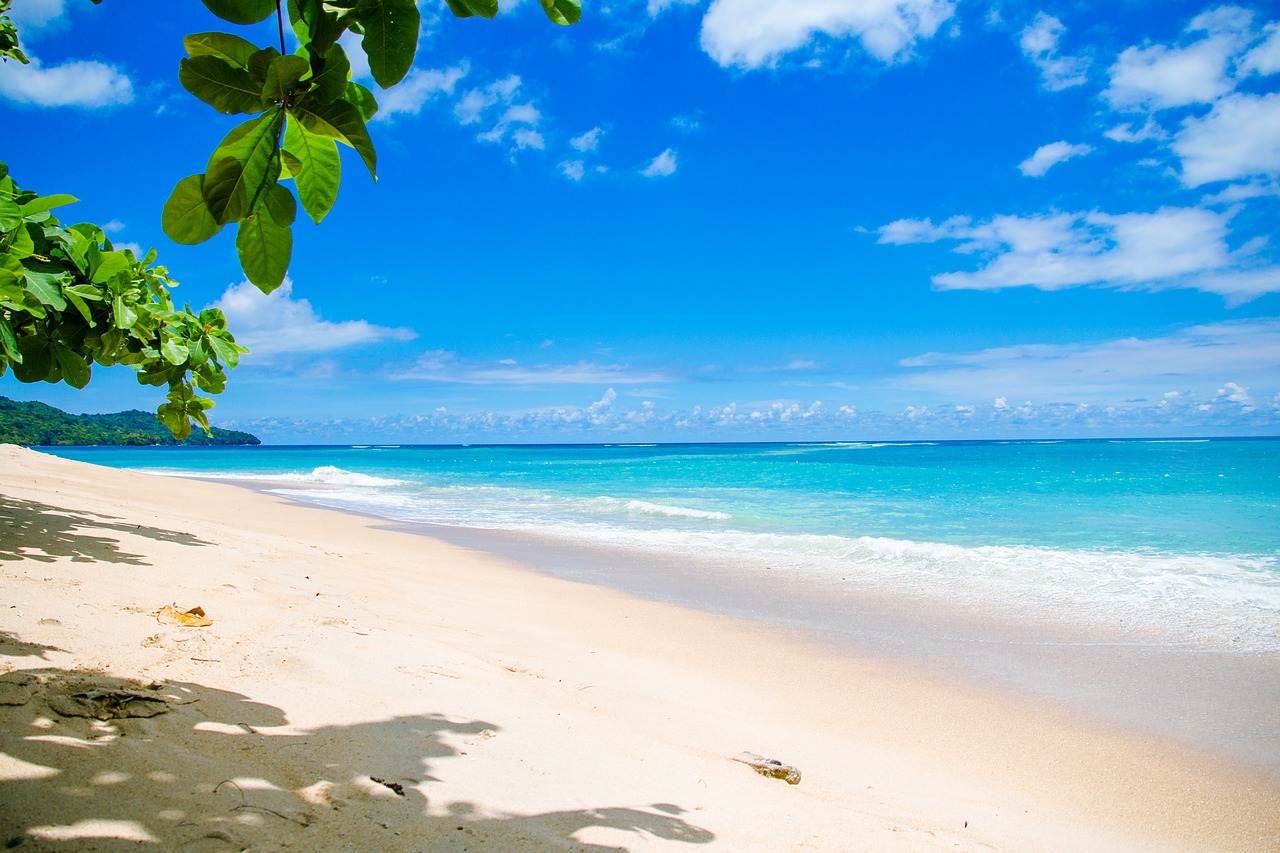 Image - background beach beautiful beauty