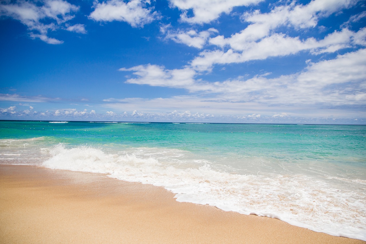 Image - background beach beautiful beauty