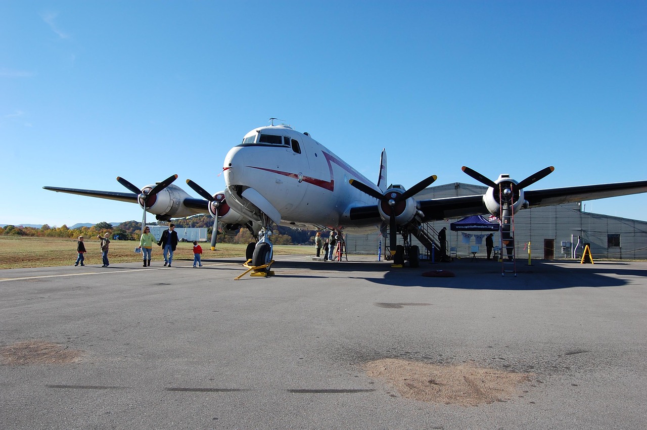 Image - airport tarmac visitors