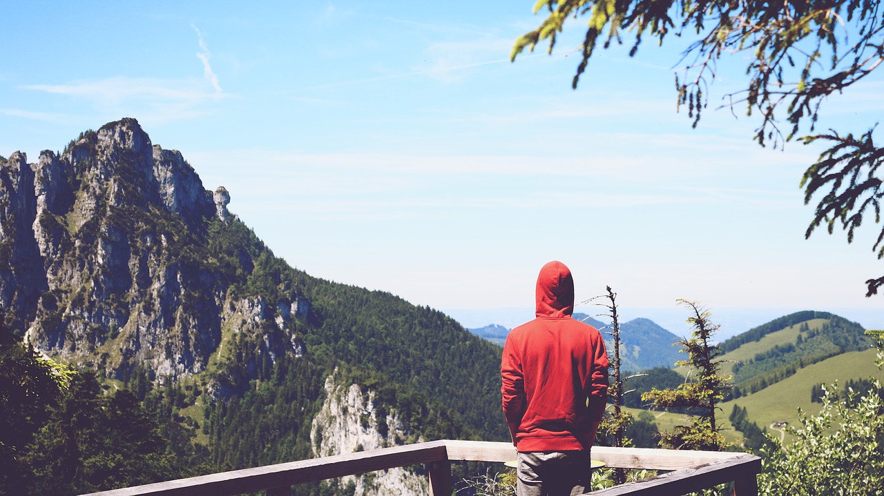 Image - person mountains view platform sky