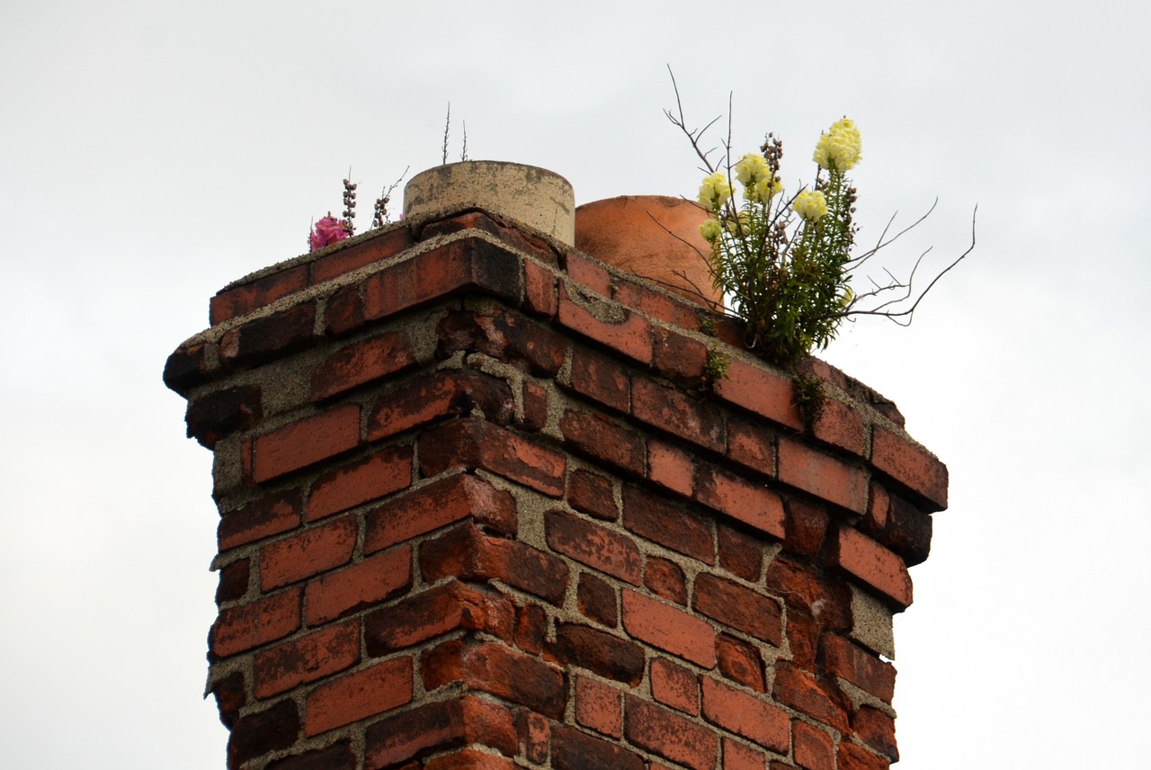 Image - chimney flowers fireplace ireland