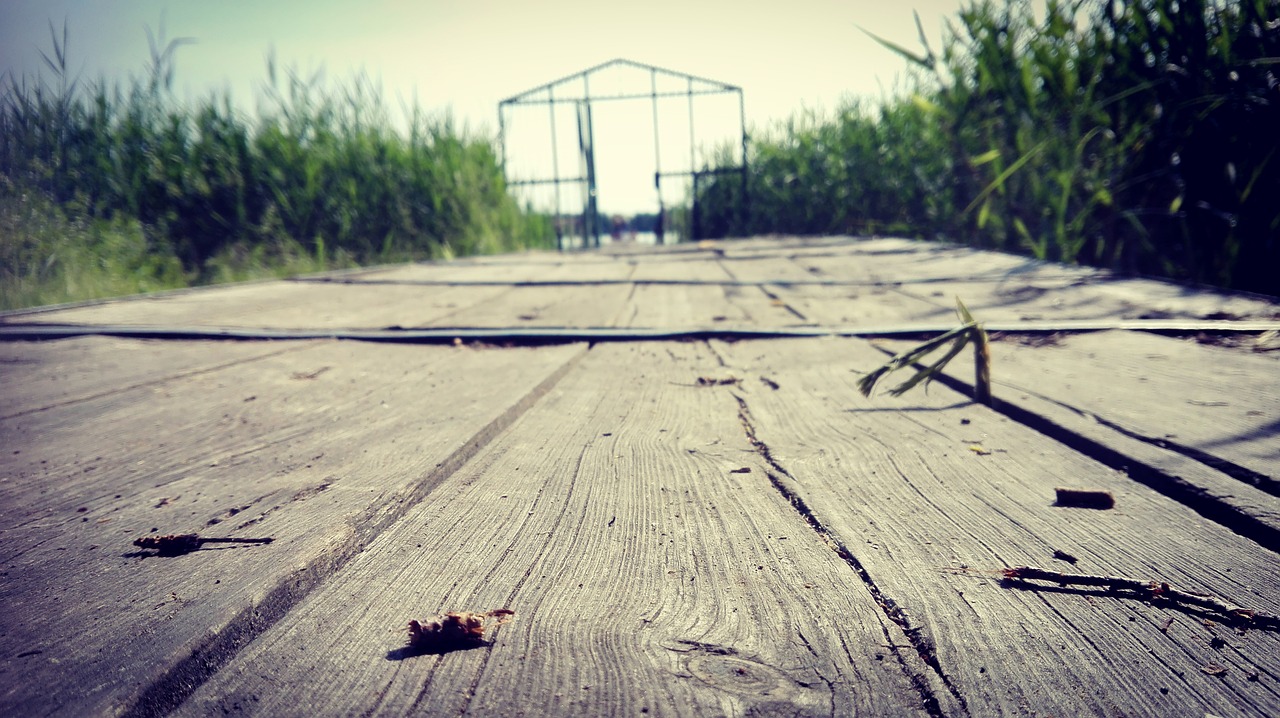 Image - lake the pier forest summer beach