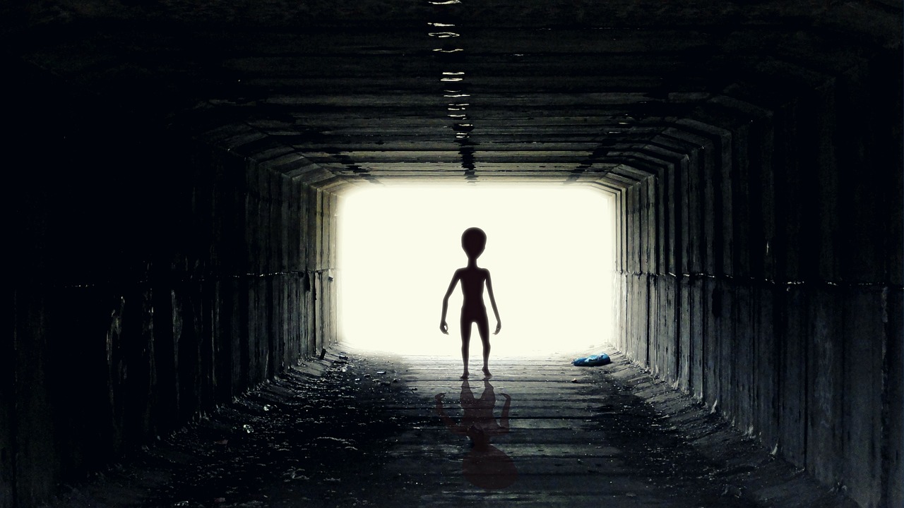 Image - ufo alien guy pozaziemianin