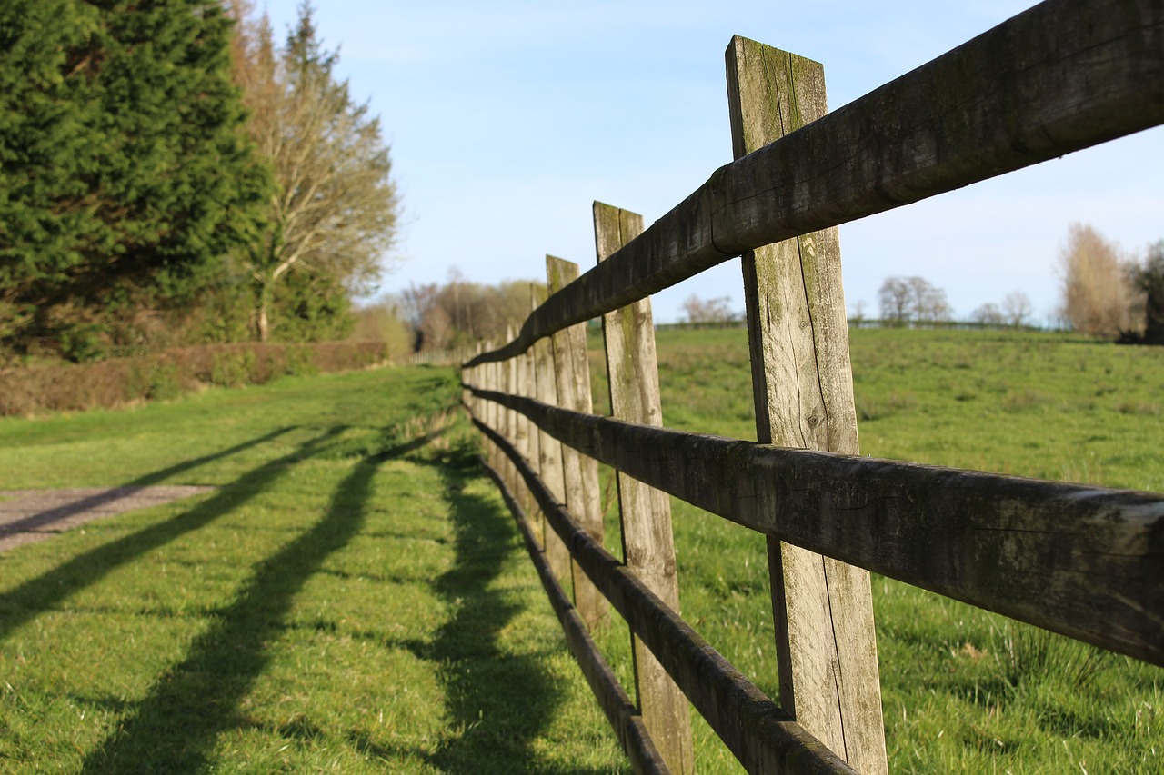 Image - lines fence shadows