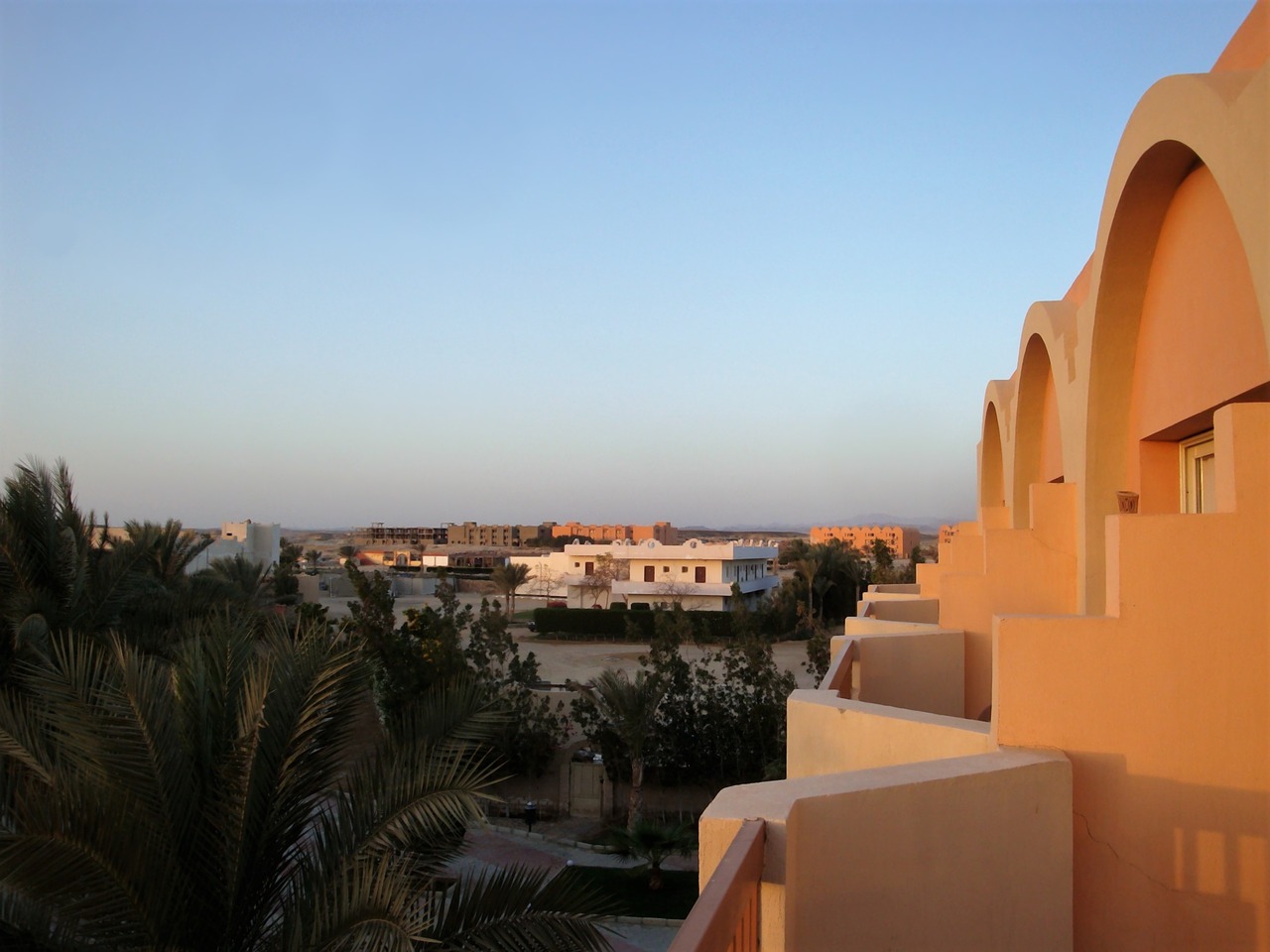 Image - view marsa alam palm trees