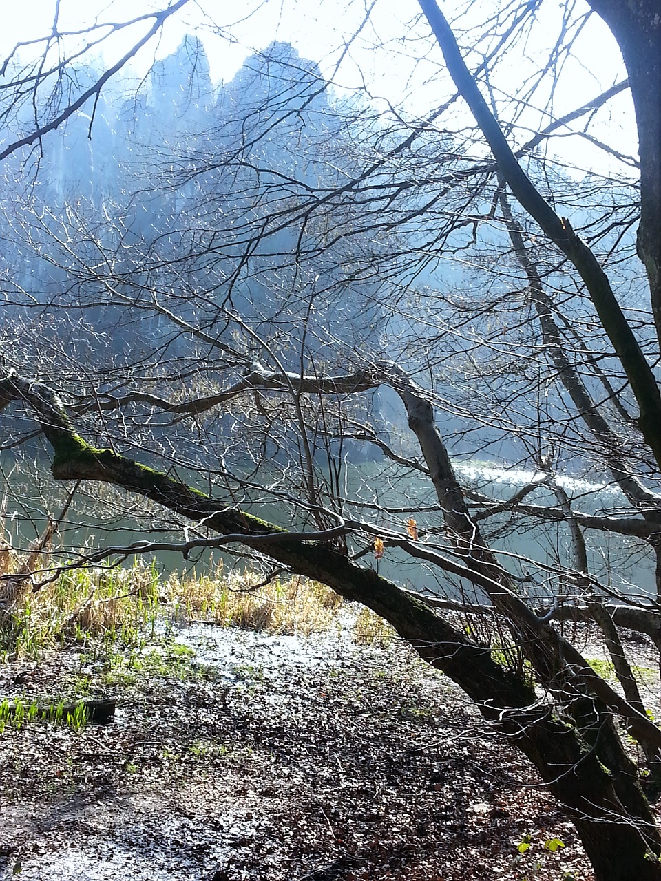 Image - externsteine forest mountains