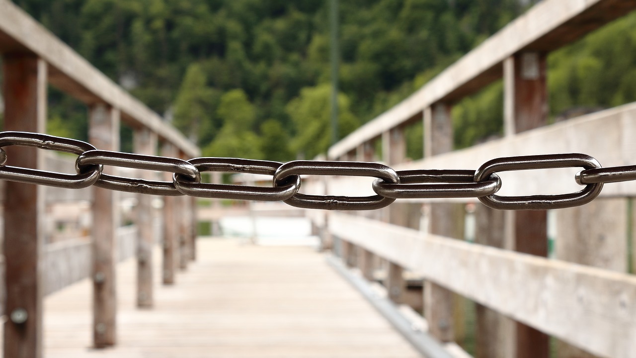 Image - chain web lake nature metal
