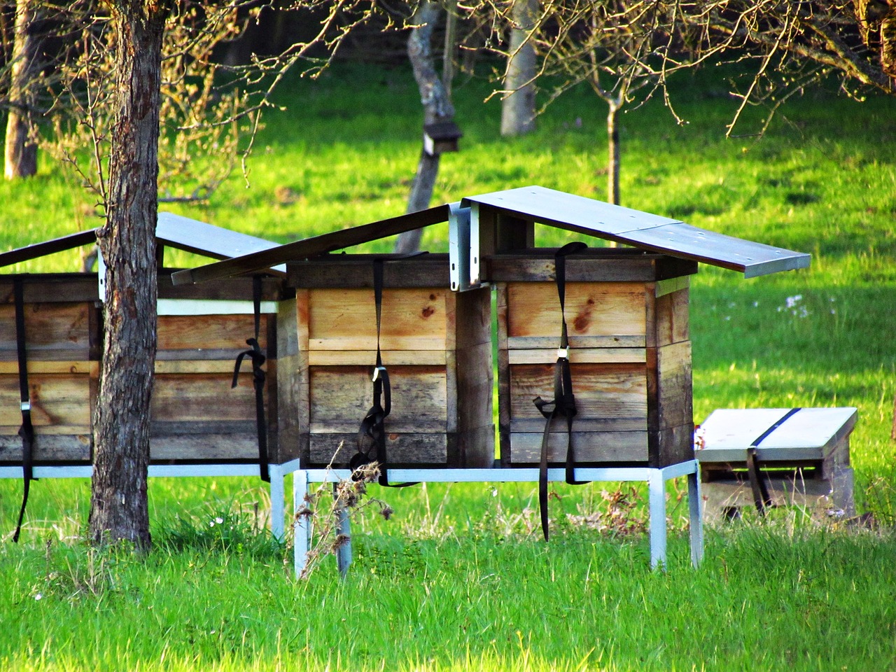 Image - ule beehive cottages field bees