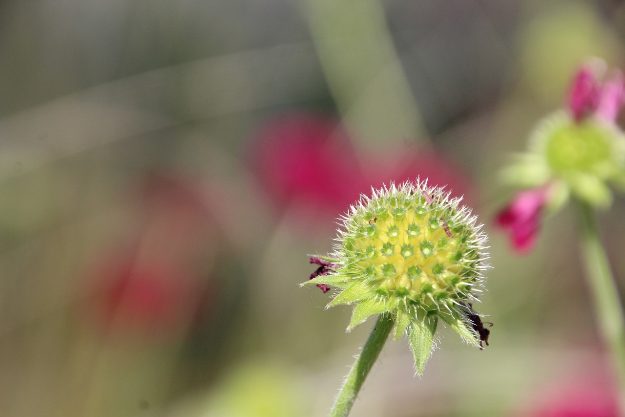 Image - stamp faded color green flower