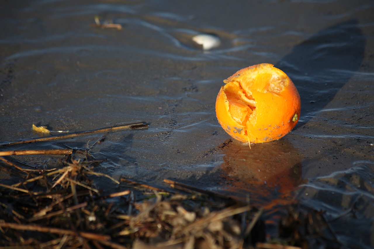 Image - flotsam orange evening light