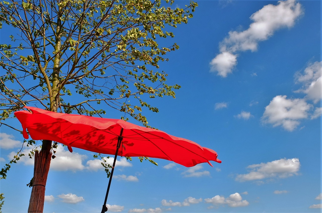 Image - screen summer parasol