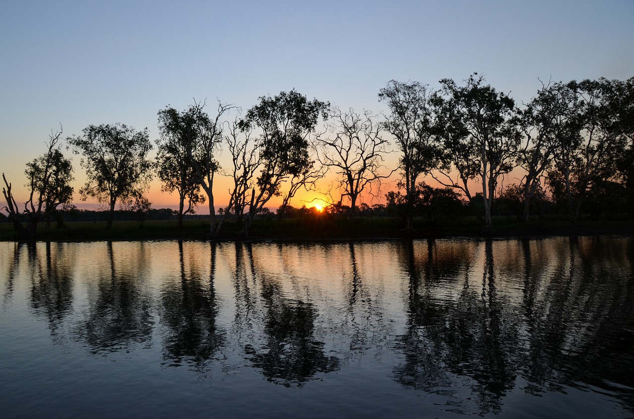 Image - yellow water billabong yellow waters