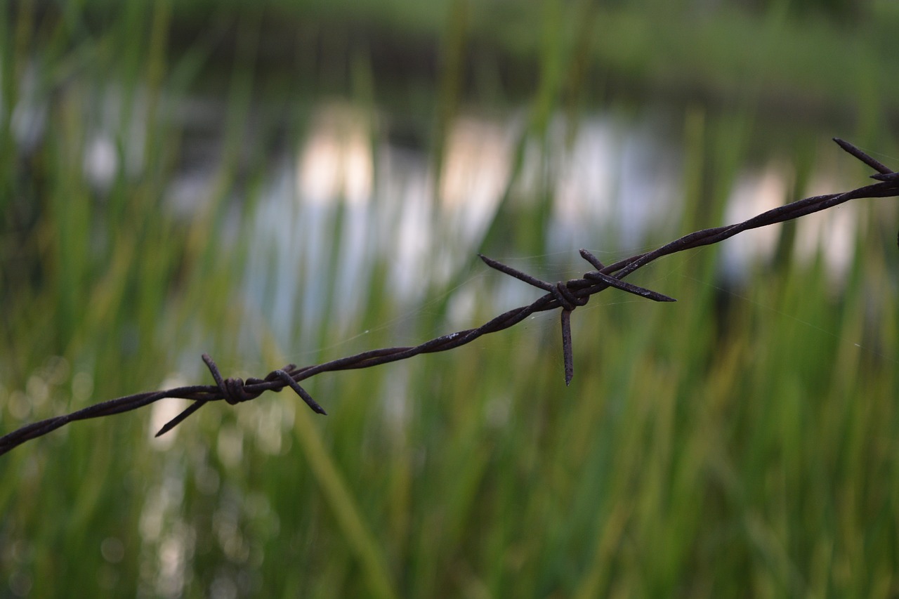 Image - barbed wire fence green grass