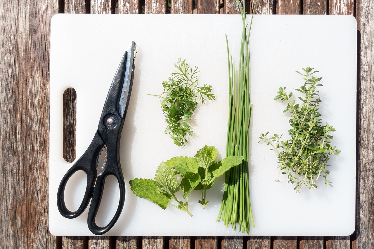 Image - spices chervil lemon balm chives