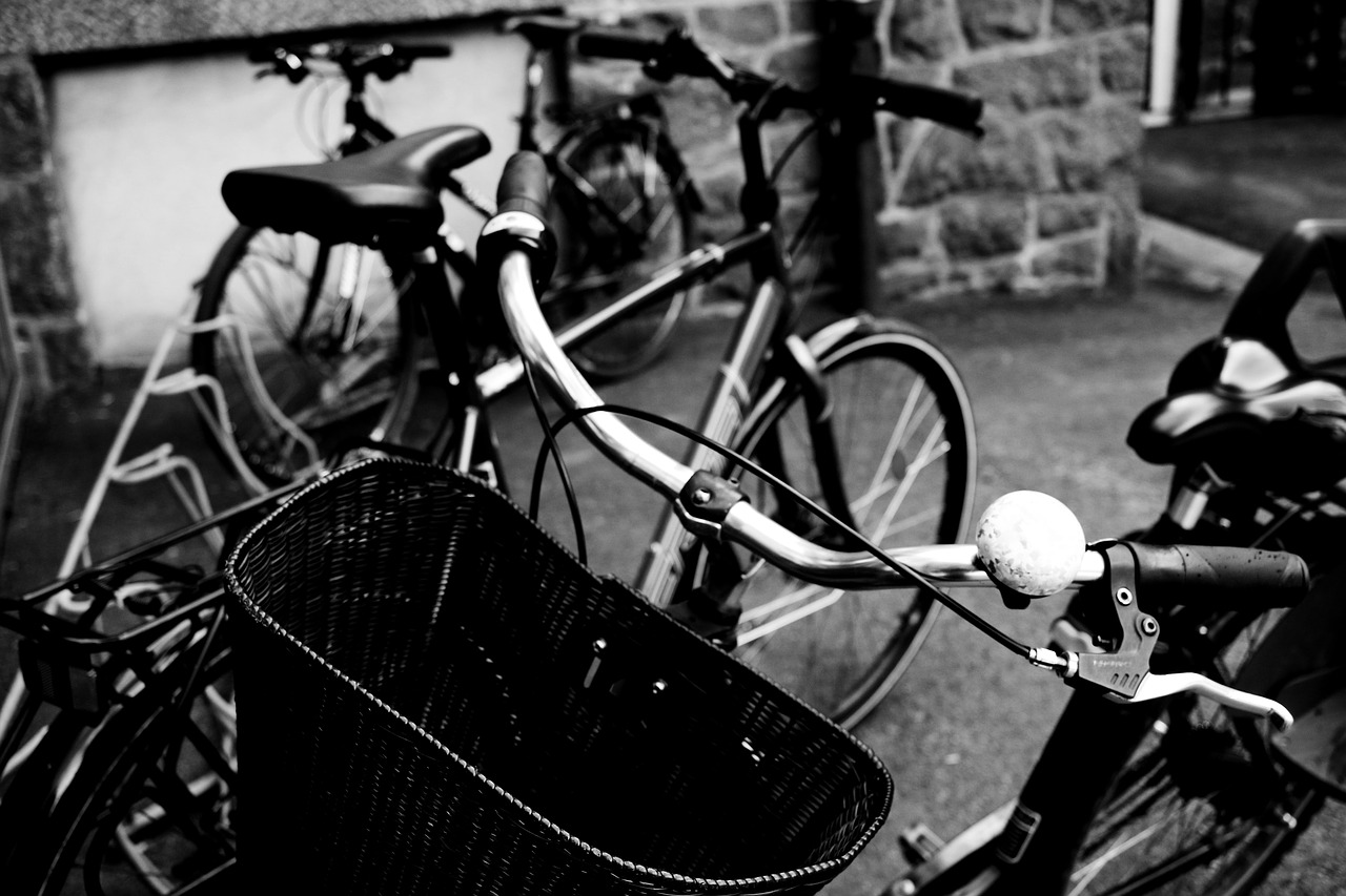 Image - park cycle basket staring wheel