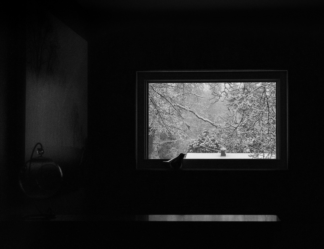 Image - bird window winter alone isolation