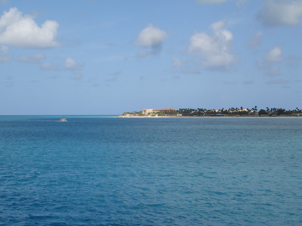 Image - aruba island the island of aruba