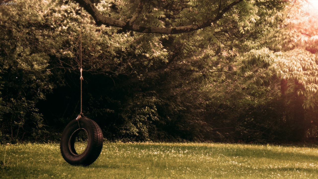 Image - tireswing tire swing photography