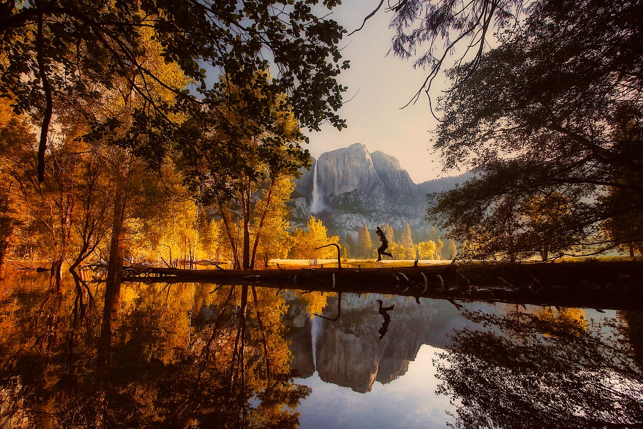 Image - yosemite national park california