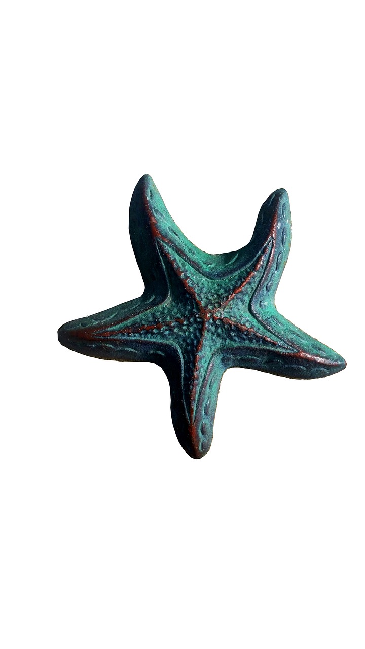 Image - starfish beach nature sculpture