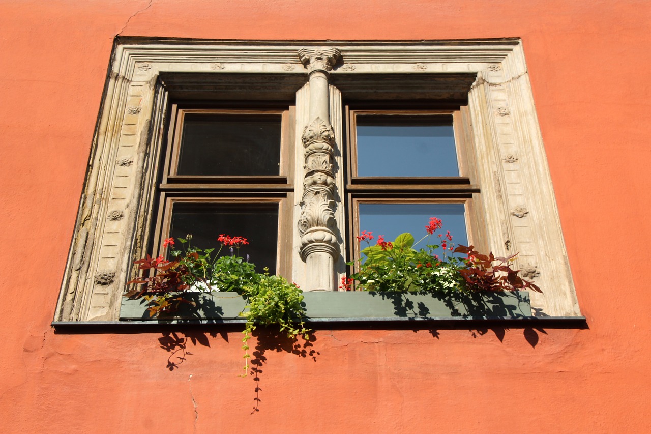 Image - window dinosaur flower boxes