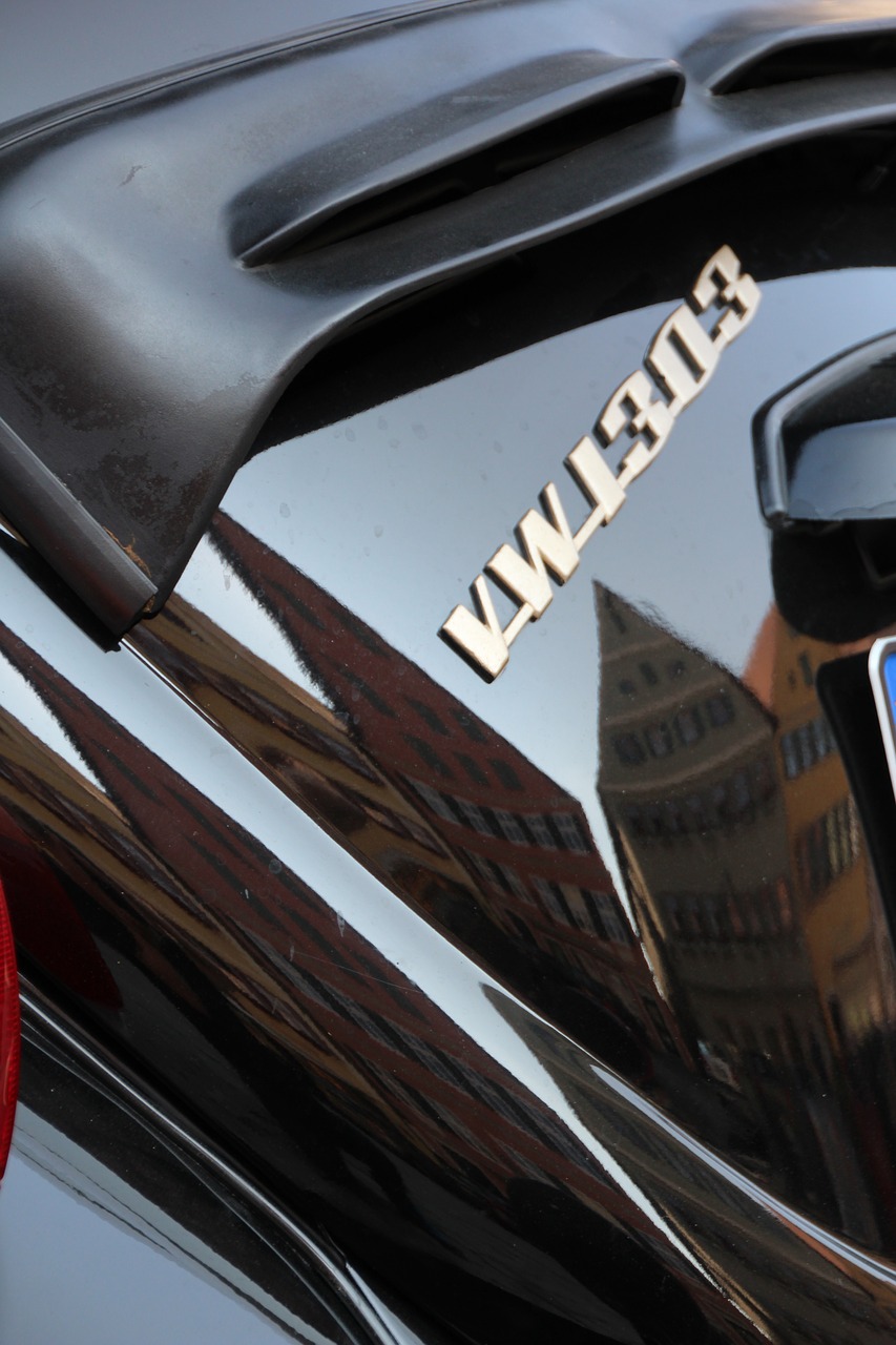 Image - vw beetle mirroring dinosaur