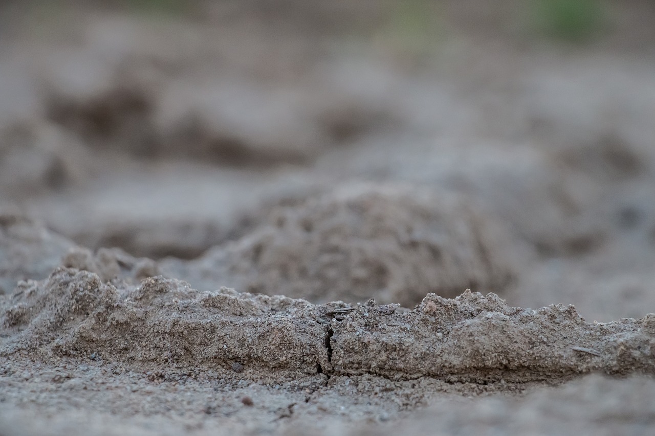 Image - earth ground grass nature cracks