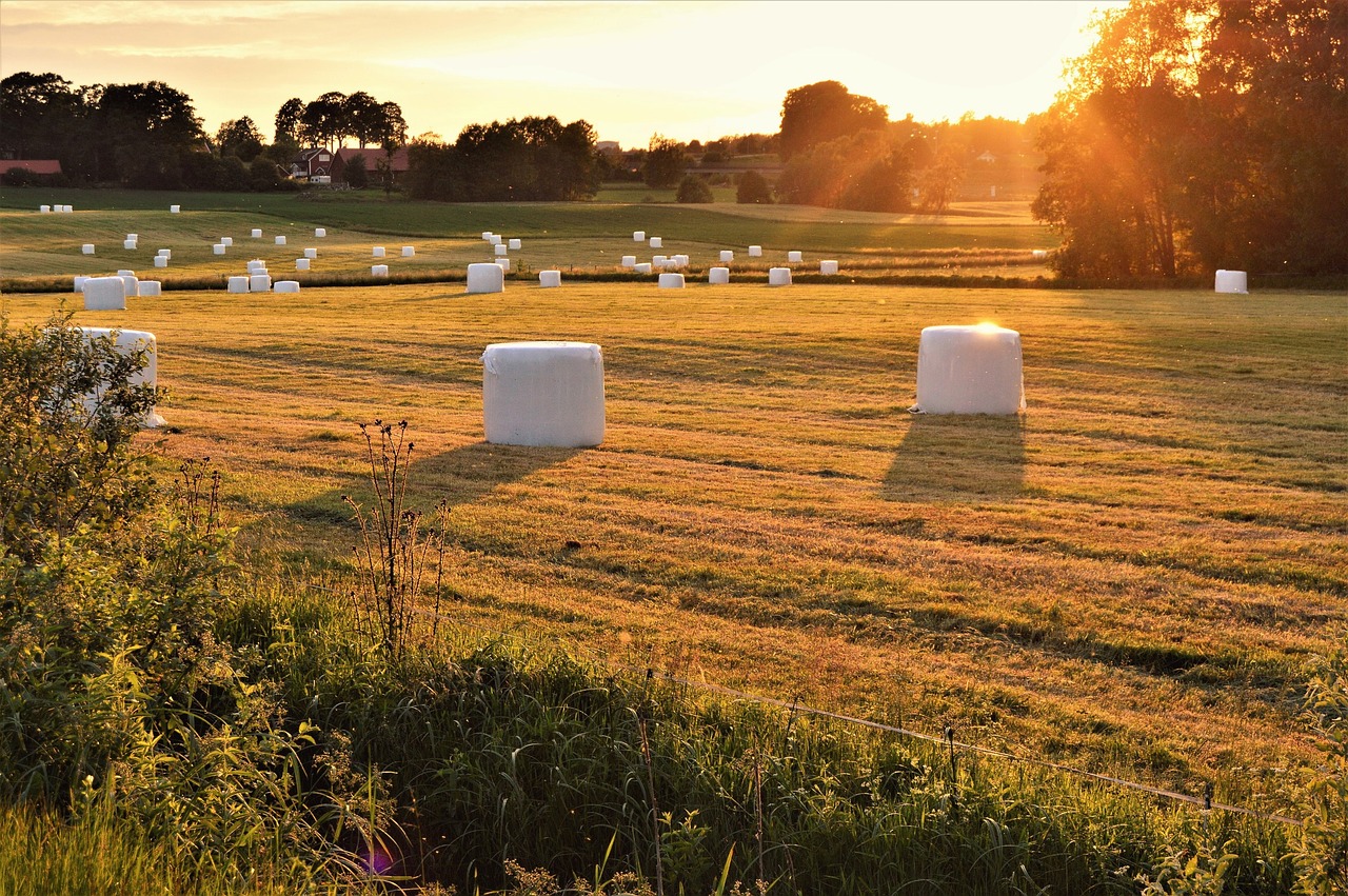 Image - hay bales sunset sweden småland