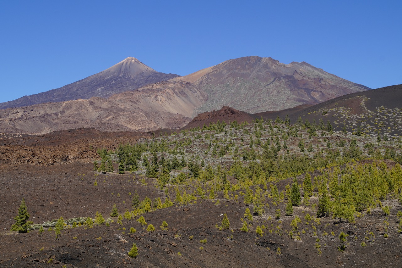 Image - teide national park national park