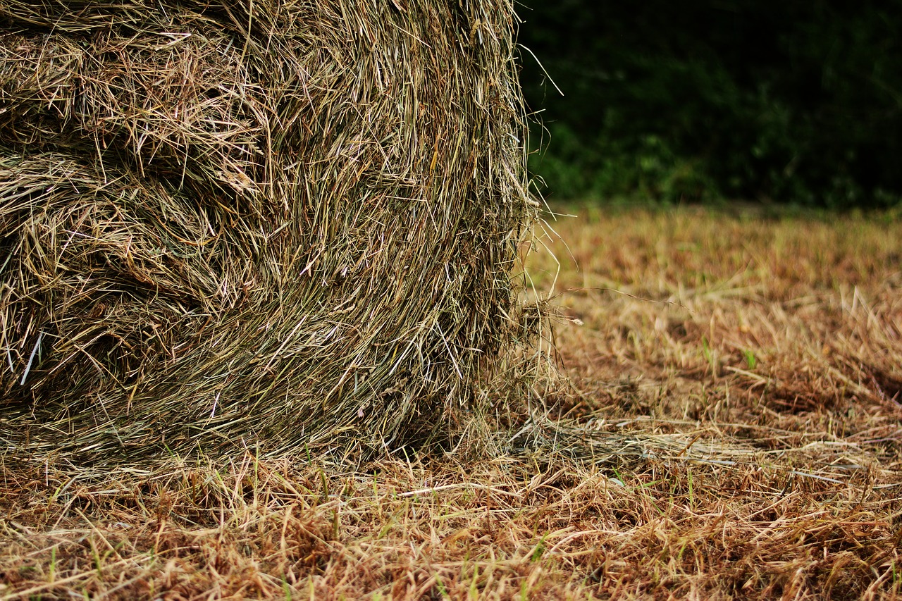 Image - hay bales hay field harvest meadow