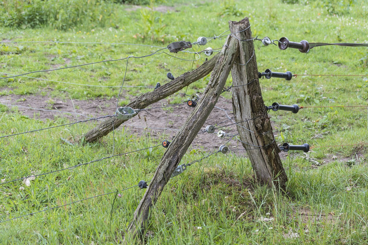 Image - electricity electric fence voltage