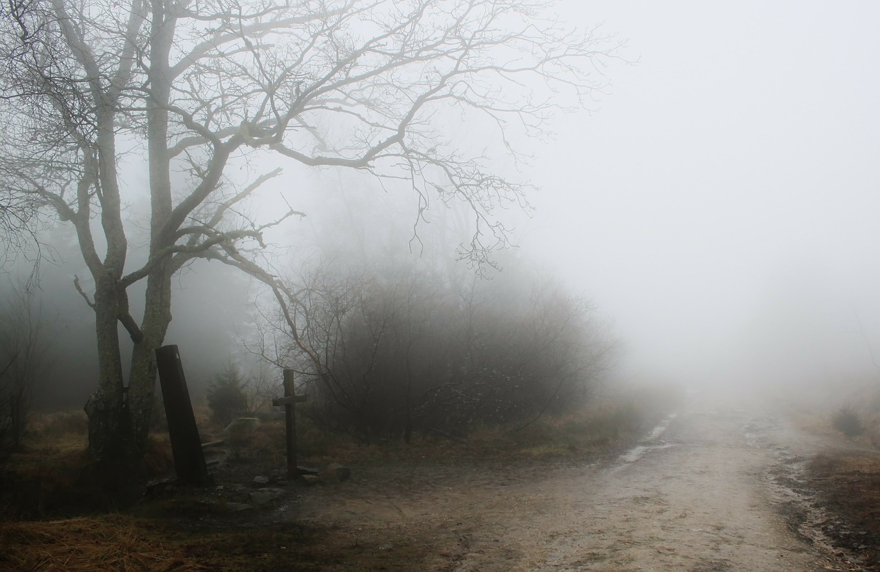 Image - grave fog autumn mood atmosphere