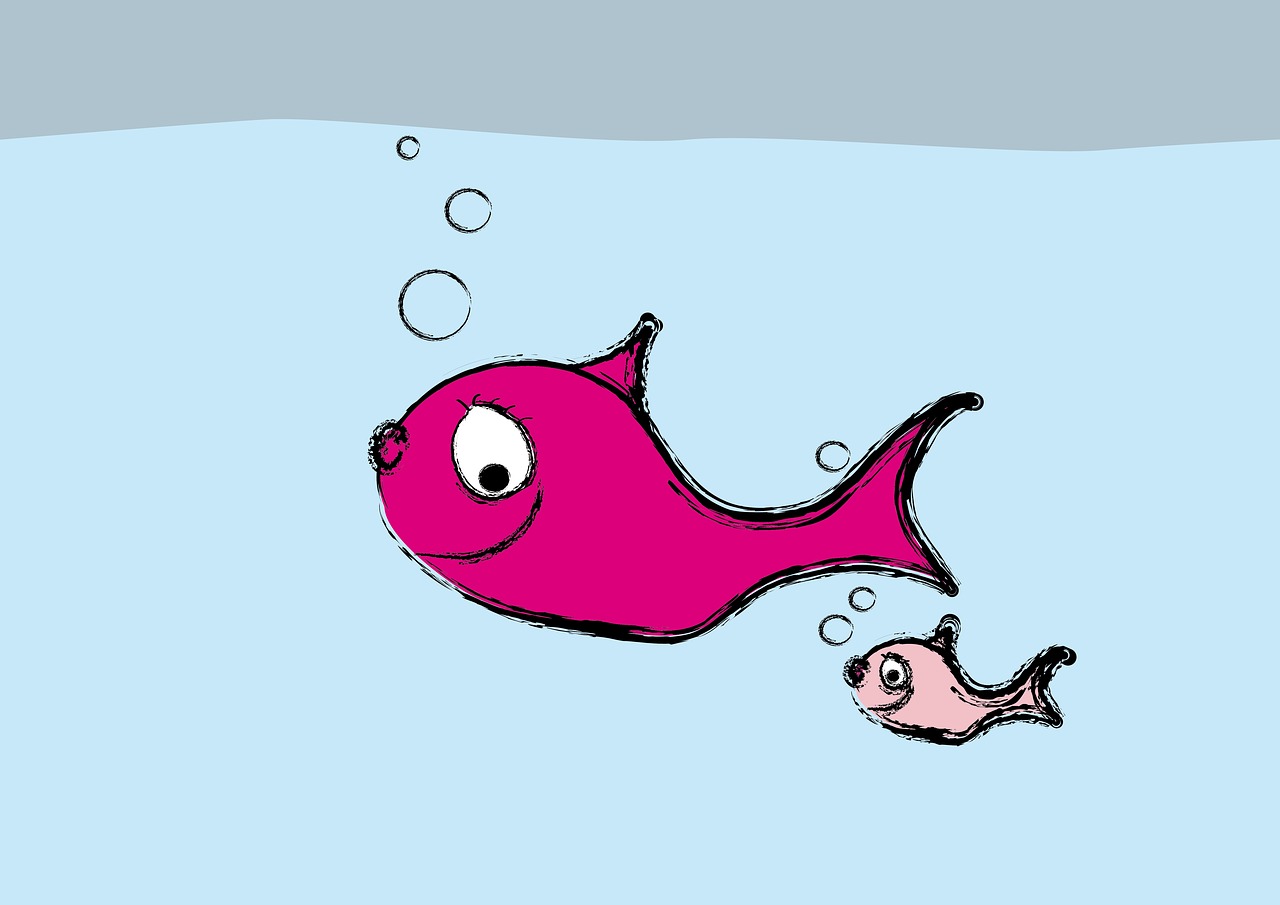 Image - fish swarm meeresbewohner creature