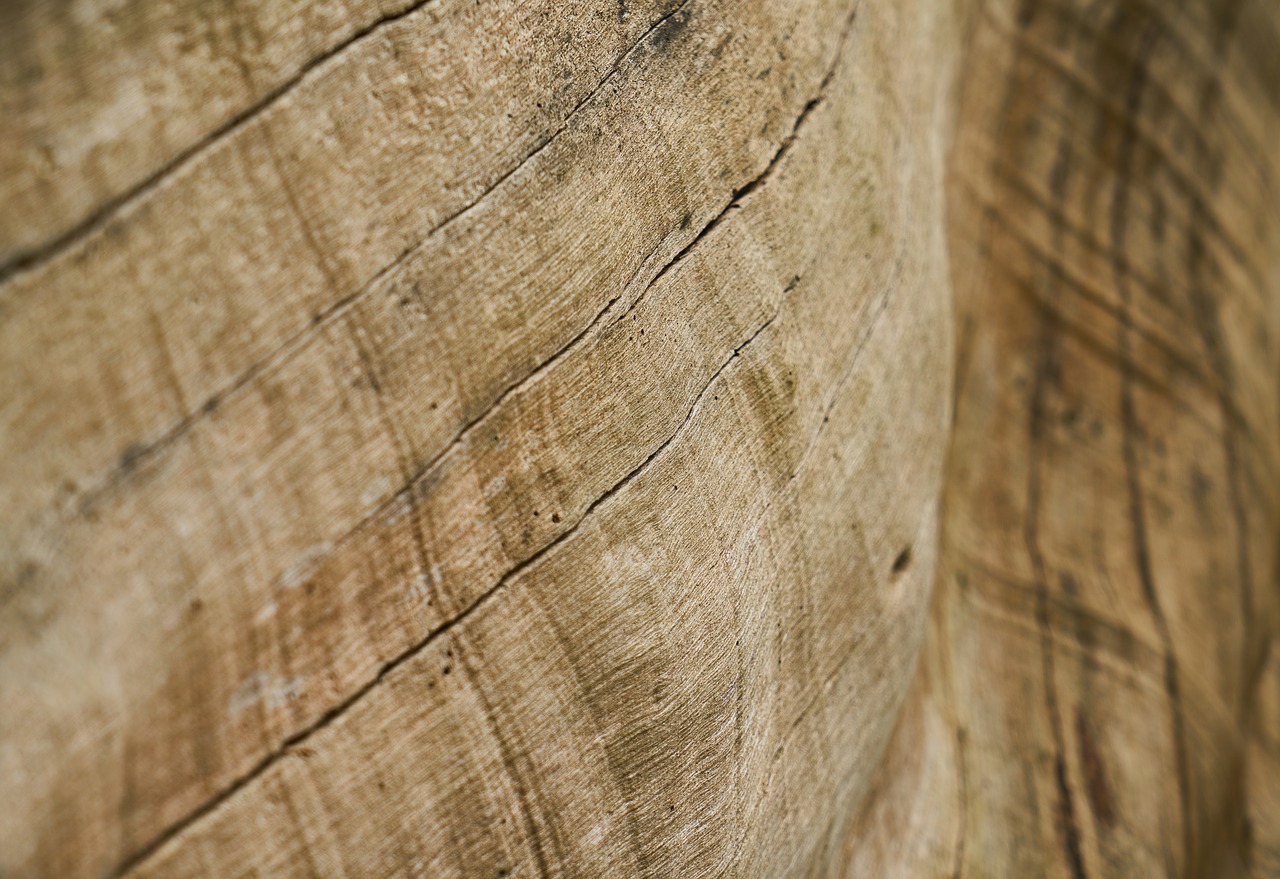 Image - abstract brown tree timber pattern