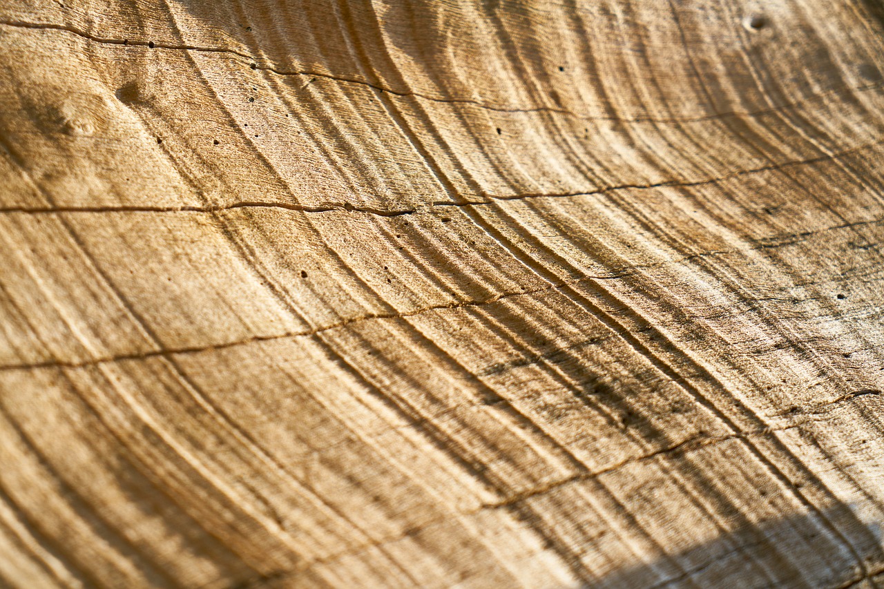 Image - abstract brown tree timber pattern