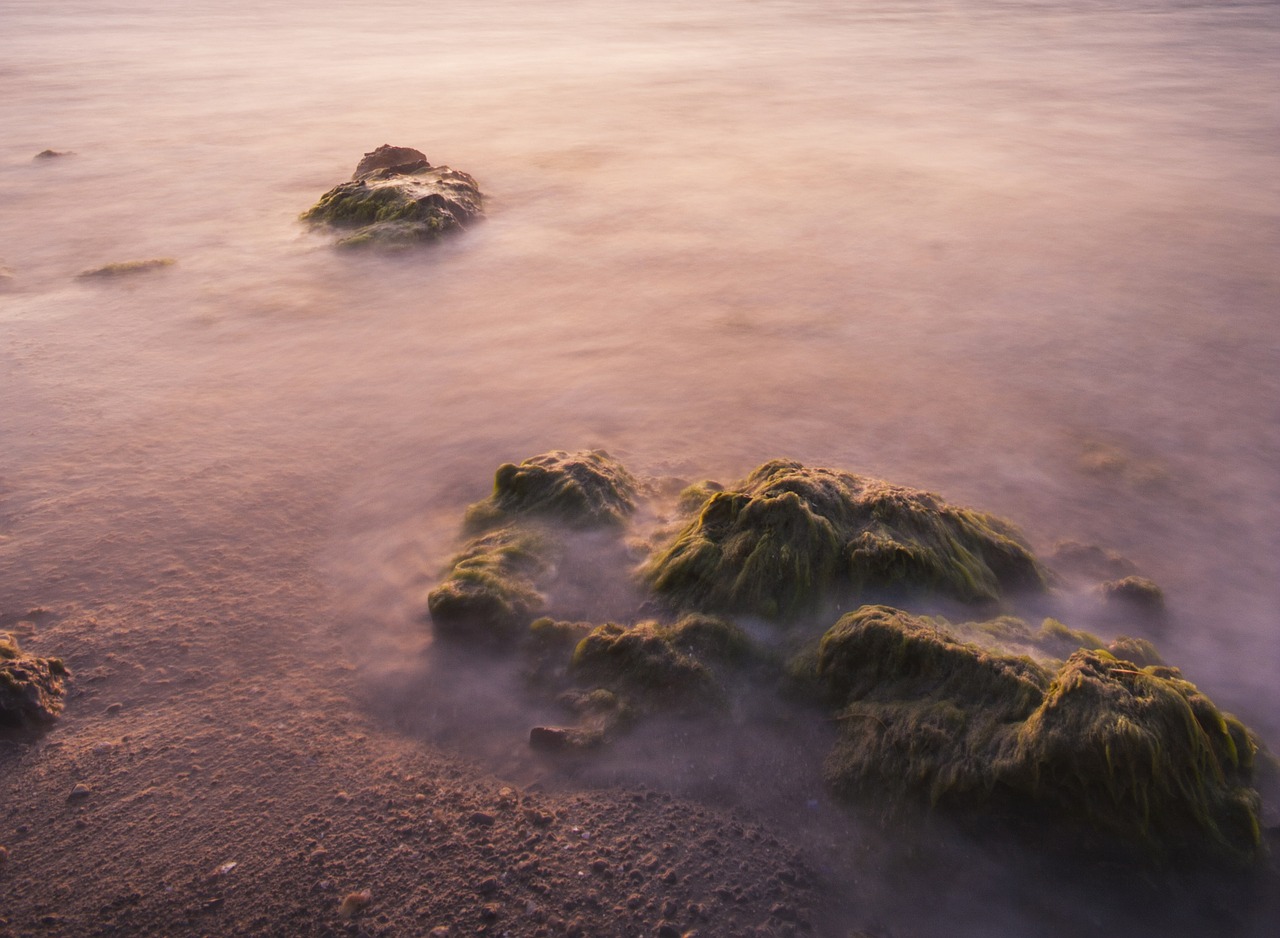 Image - landscape marine beach rocky