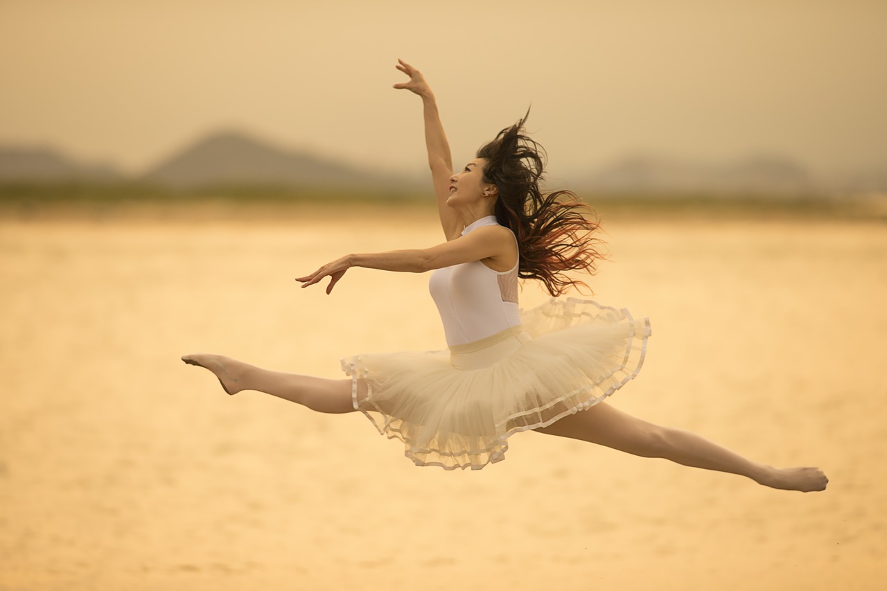 Image - ballet fly sea