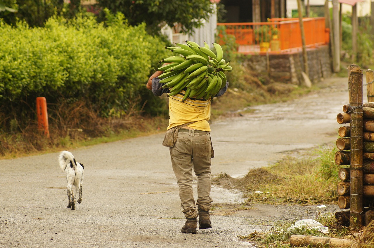 Image - peasants finlandia quindio colombia