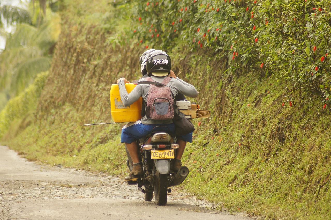 Image - in the field motor india quindio