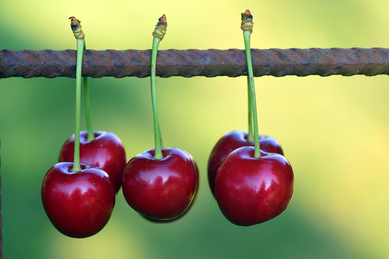 Image - cherries fruits fruit red