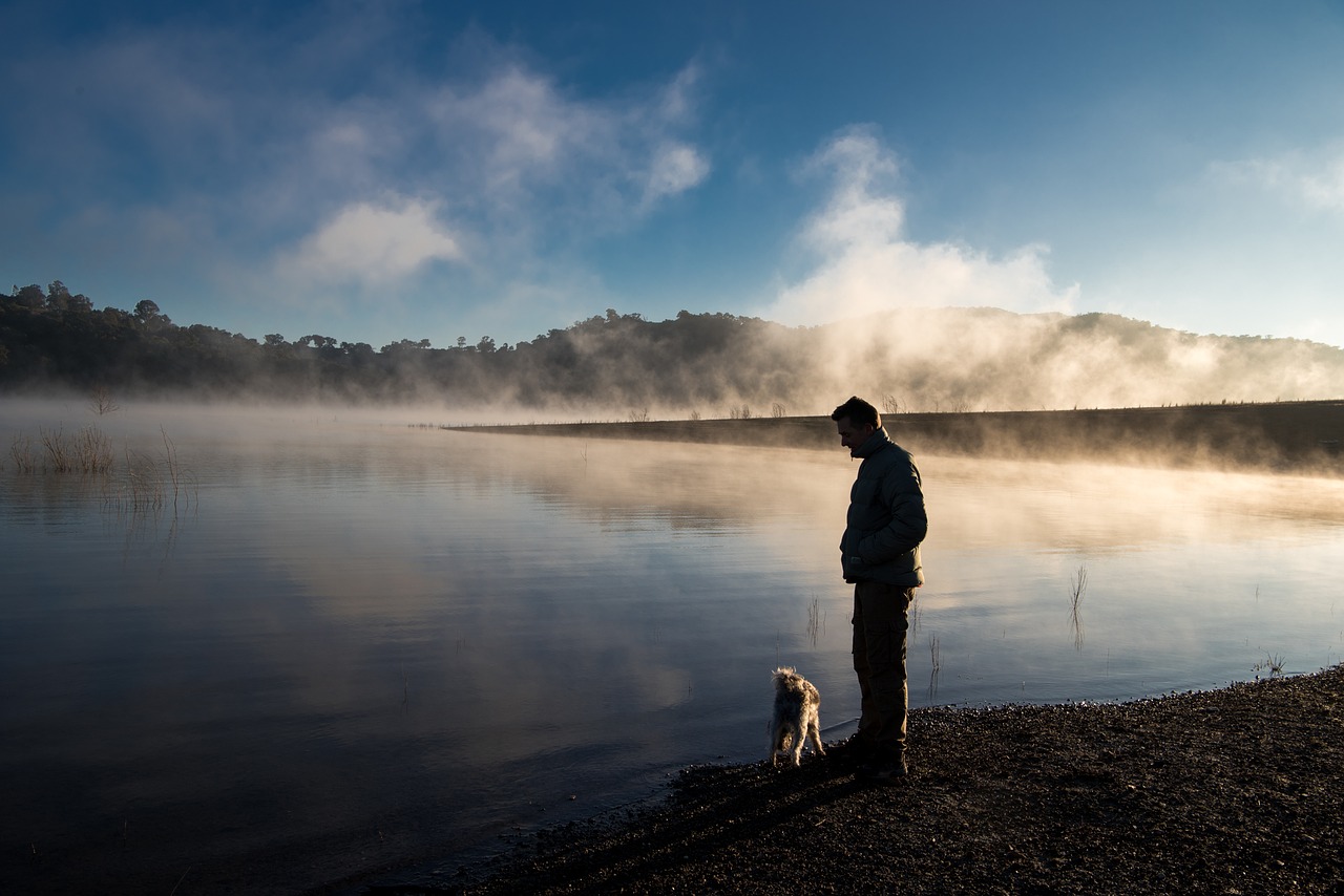 Image - fog lake calm sunrise water